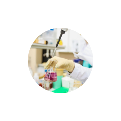 Contributo all’attività scientifica