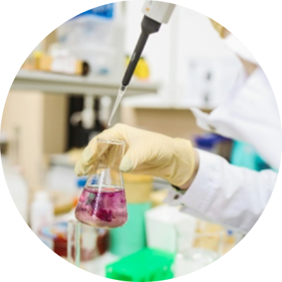 Contributo all’attività scientifica Contributo all’attività scientifica